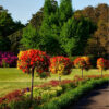 Tom B – Landscaper Nottingham | Zocha